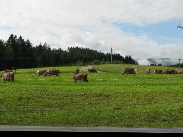 Blick vom Balkon