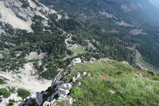 Tiefblick zur Oberen Salmeralm