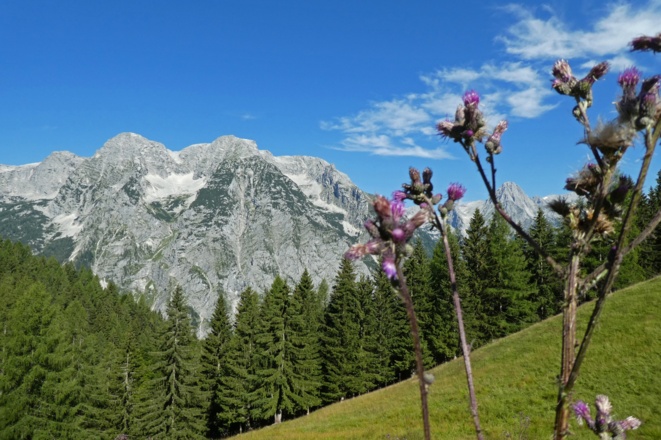 Mitterberg, Hochplanberg, Hebenkas, Brandleck und Spitzmauer (v.l.n.r.) von der Hochsteinalm