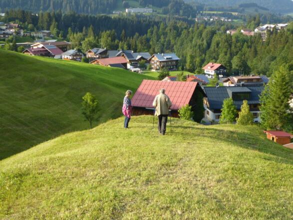 Wiesen hinter dem Haus