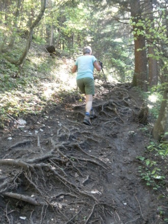 wurzeliger Anstieg zum Brandstein
