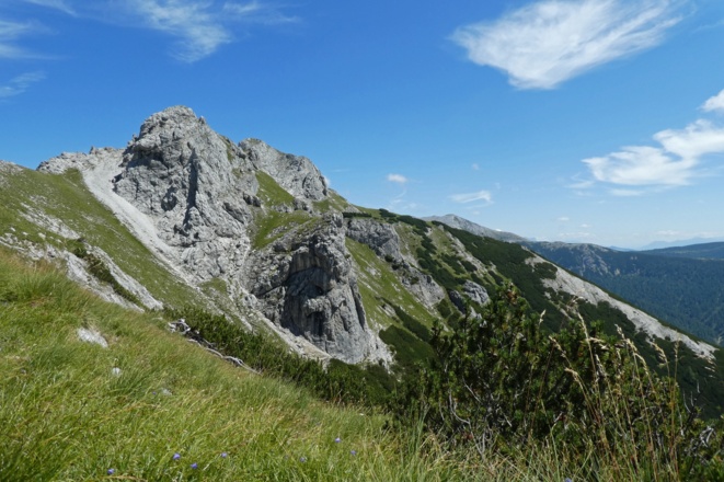 Das Hirscheck