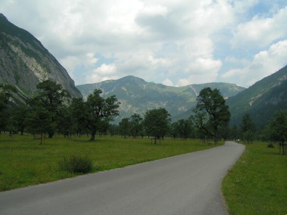 Der Ahornboden