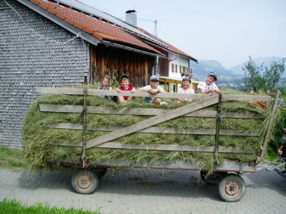 Heuernte als Erlebnis