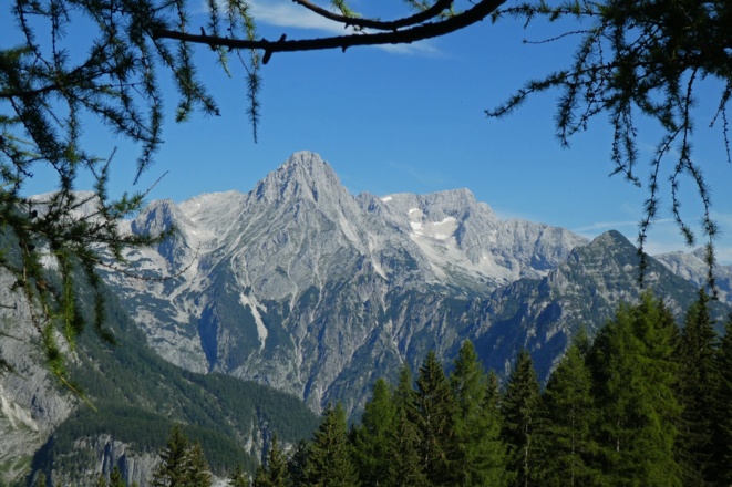 Spitzmauer und Gr. Priel von der Hochsteinalm