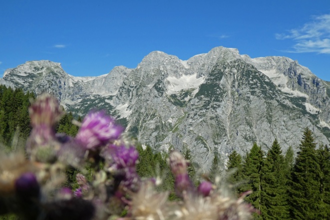 Kraxenberg, Mitterberg, Hochplanberg, Hebenkas und Brandleck (v.l.n.r.) von der Hochsteinalm