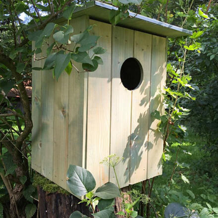 Nisthöhle Waldkauz_bearb