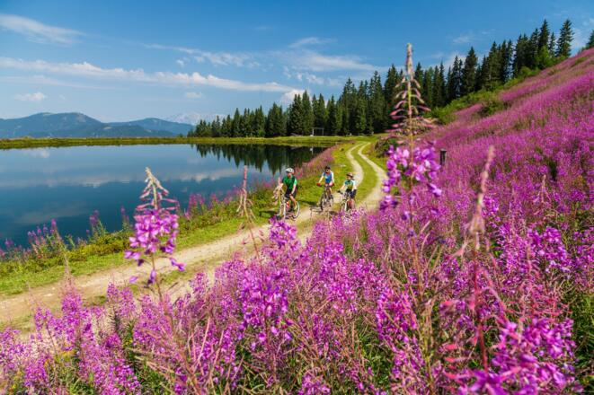 MTB Daarmoossee