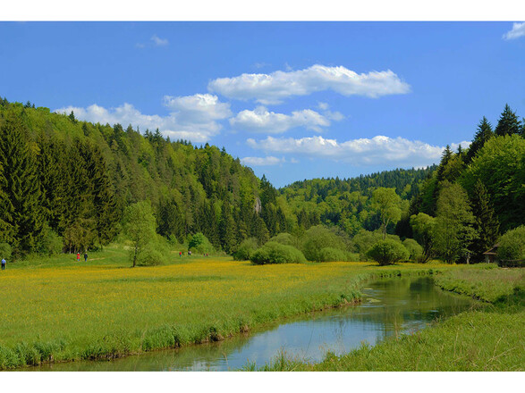 Chalet am Bach (Bad Birnbach)