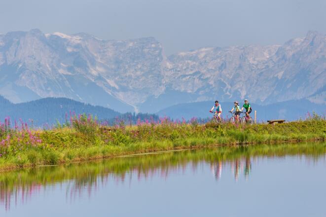 MTB Daarmoossee