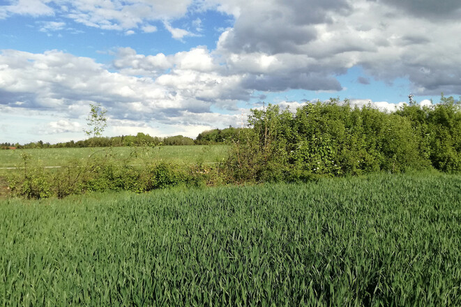 IMG_20190509_173755_bearb