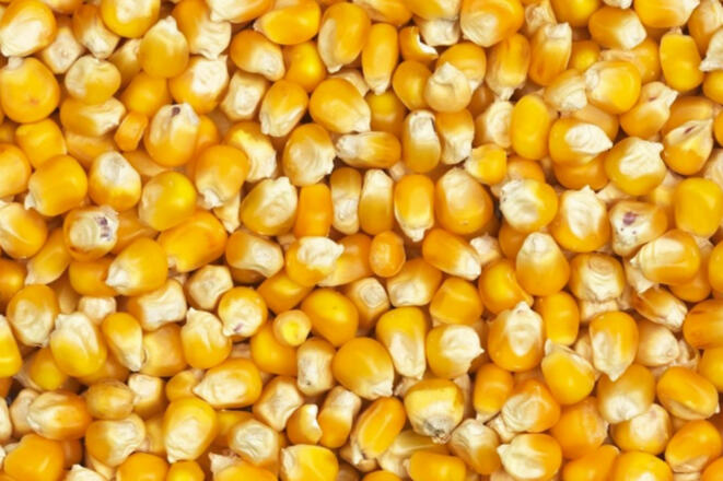 20190507_085439_bearb