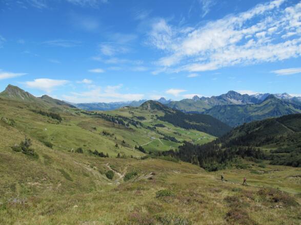Blick vom Sünser Joch auf die Ugaalpe und den Ortsteil Uga. Durch einen Erblehensvertrag wurde im Jahr 1313 von den Grafen von Montfort die Alpe Uga an Walliser zum Erblehen übergeben. Am linken Bildrand die Damülser Mittagsspitze.