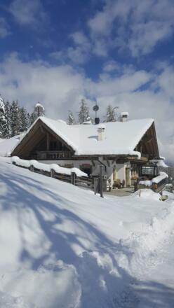 18122002_772947209538782_3576295642775112089_o