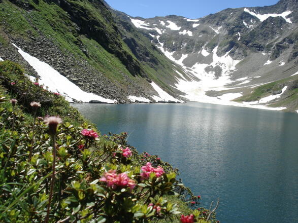 Kratzenbergsee im Frühsommer