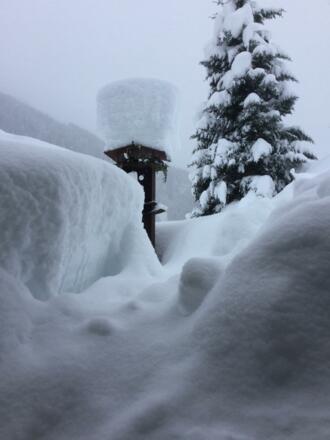 Super Schnee ums Haus