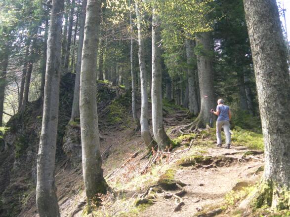 am Nordgratrücken zum Spielberg