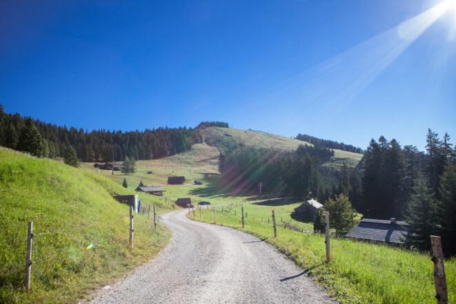 Forstweg Spielbergalpe mit Blick Richtung Wieserhörndl