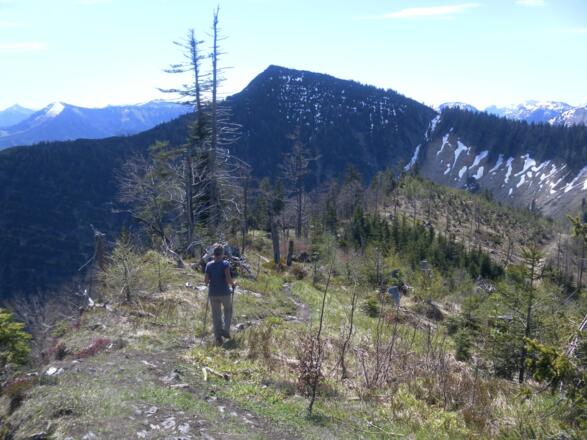 Wieserhörndl hinter Kallersberg