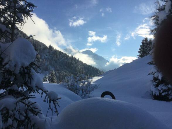 Winterlandschaft hinter dem Haus
