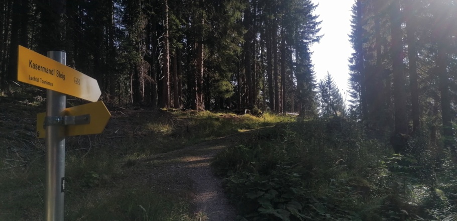 Hier weiter der Beschilderung "Kasermandl Steig" folgen