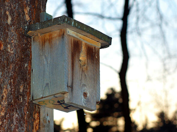 Nistkasten_bearb