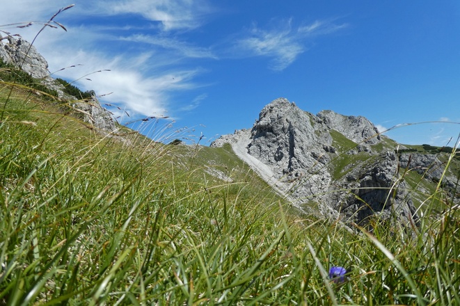 Das Hirscheck