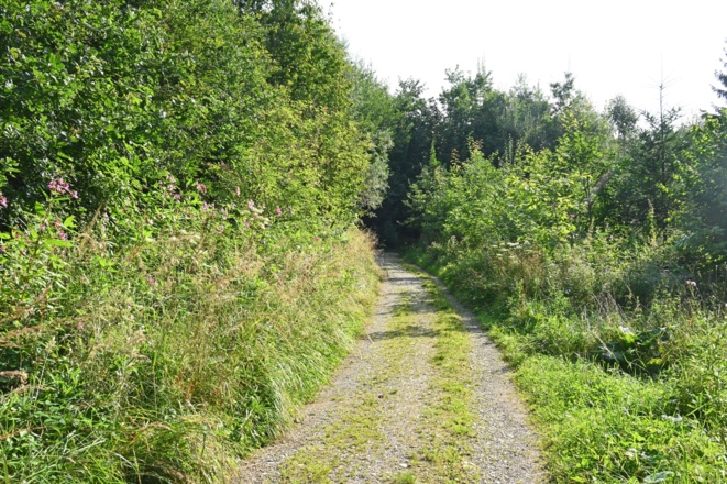 Wanderweg am Parsberg