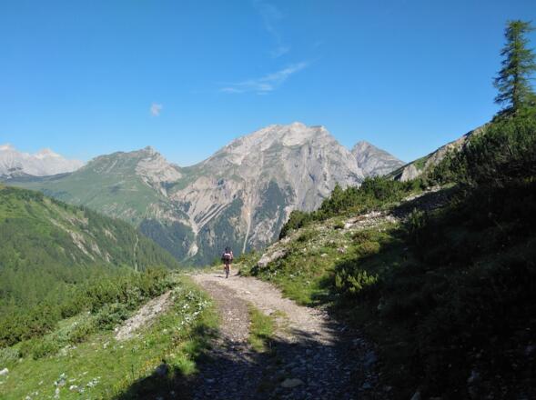 Fahrweg oberhalb der Binsalm