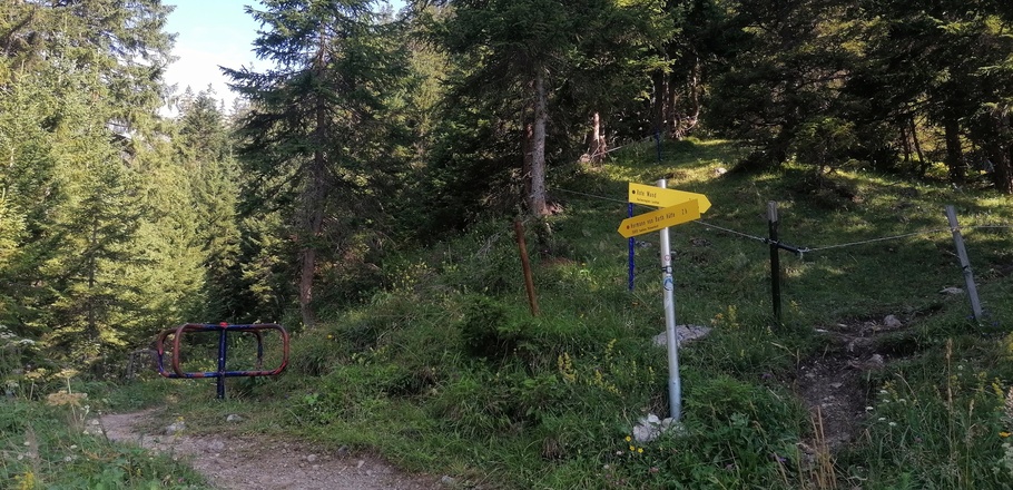 Abzeweigung zur Hermann-vom-Barth-Hütte, wir gehen rechts