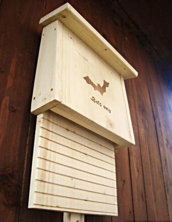 31d9d821396e956c1604da6de12e690e0_bearb