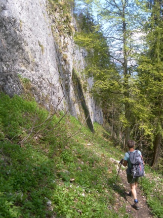 Abstieg in den Nesselauer Graben