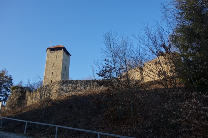Burg Altnußberg