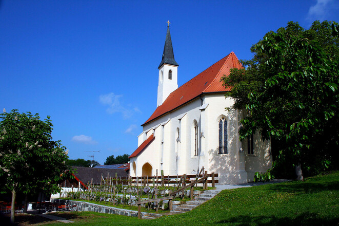 bild-12926276