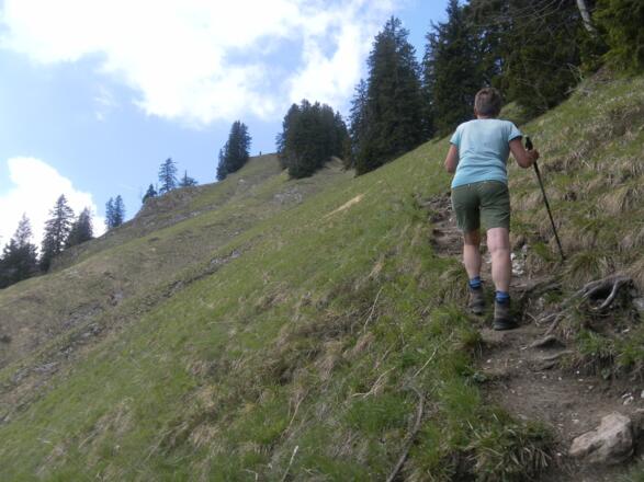 Ostrücken zum Gröhrkopf