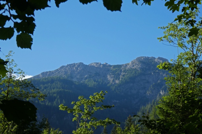 Blick von der jungen Steyr zum Hirscheck