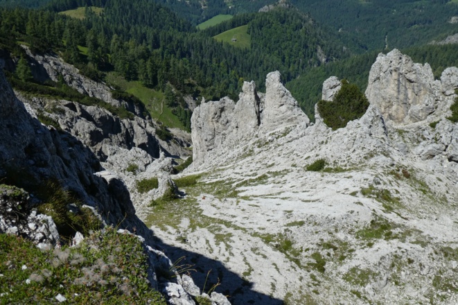 Blick vom Hirscheck zur Hochsteinalm