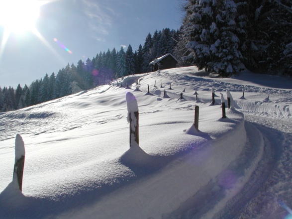 Winterwandern in Oberstaufen