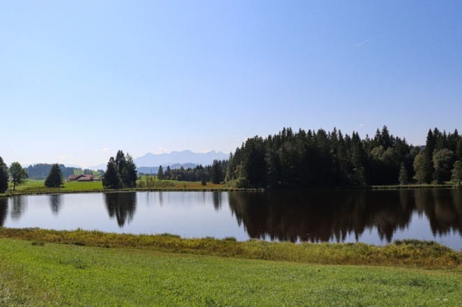 Luimooser Weiher