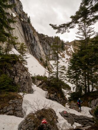 Abenteuerlicher Pfad am Fuße des Plankensteins