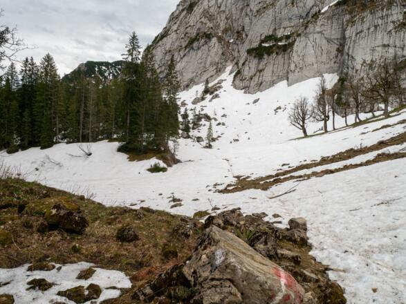Gut markierter Pfad führt zum Riedereck