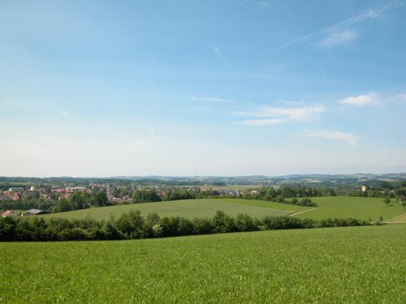 Ausblick von Kaiserlinde