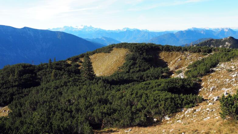 Aussicht südlich vom Grillkopf ~1555 m.