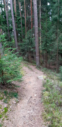 Pfad nach der Brücke