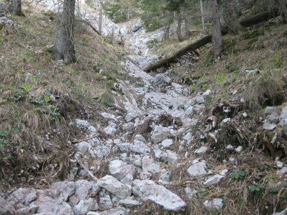 wenig Geröll, ...