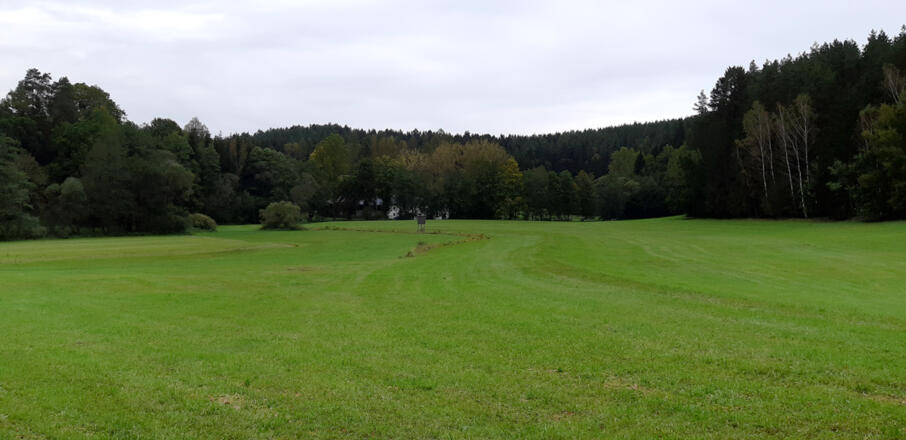Wiese im Feldaisttal mit Mühle im Hintergrund