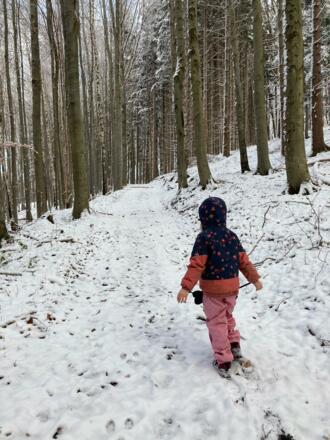 Auf dem Weg zum Gipfelbereich des Vogelherd