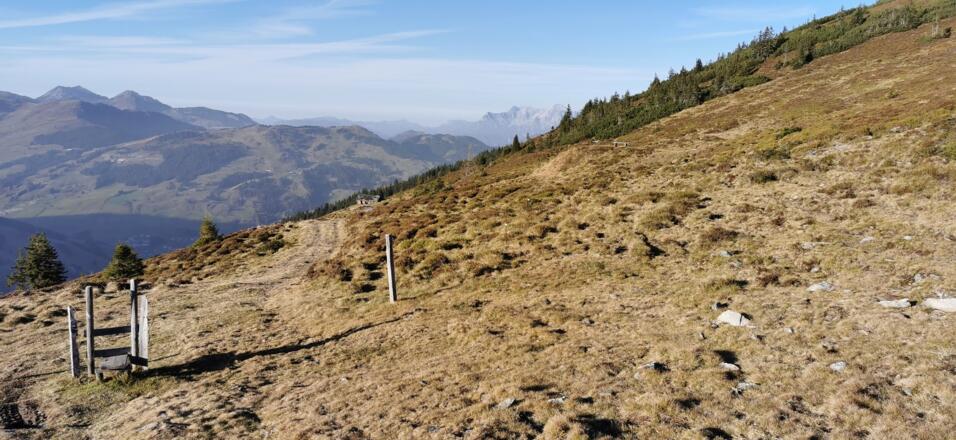 Weg vom Hacklbergsee zur Hacklbergalm