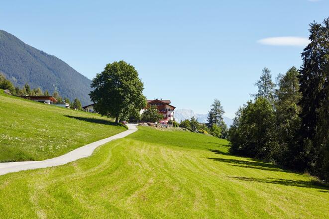 Gröbenhof Wiese