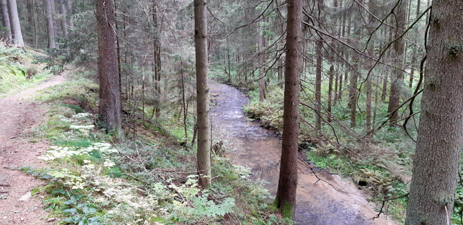 Entlang der Feldaist